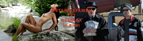 прущие грибы Бородино