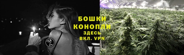 spice Верхний Тагил