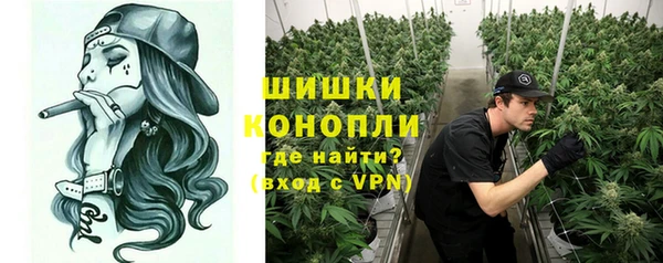 дмт Верея
