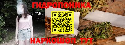 СК Гагарин